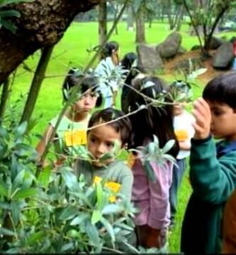¿Qué es un jardín botánico?