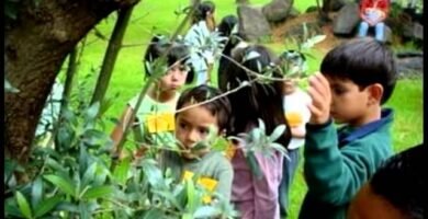 ¿Qué es un jardín botánico?