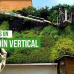 ¿Qué es un jardín vertical?