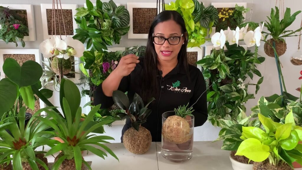 ¿Qué es un kokedama?