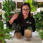 ¿Qué es un kokedama?