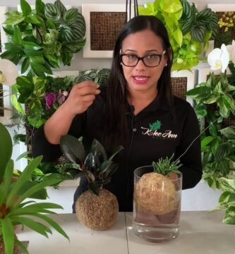 ¿Qué es un kokedama?