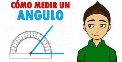 ¿Qué es un transportador de ángulos?