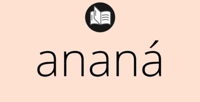 ¿Qué es una ananá?