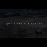 ¿Qué es una azada?