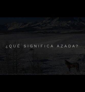 ¿Qué es una azada?