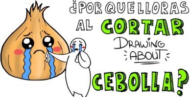 ¿Qué es una cebolla?