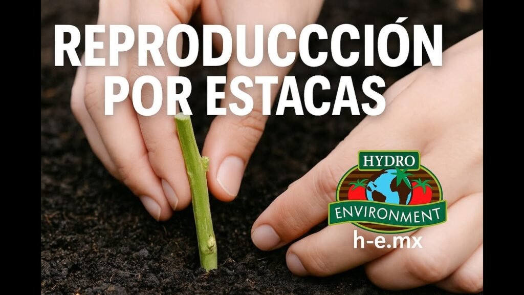 ¿Qué es una estaca?