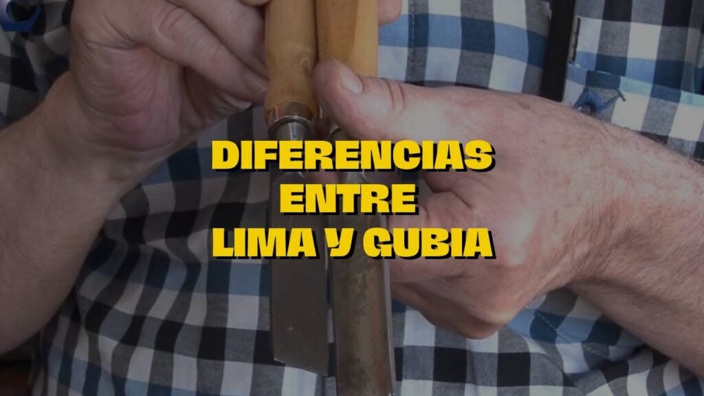 ¿Qué es una gubia?
