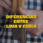 ¿Qué es una gubia?